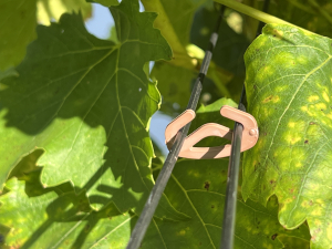 Bioclip stark