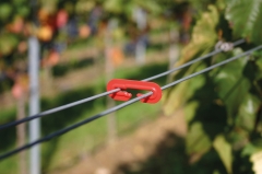 Drahtex 1 (2,5 - 3,1)