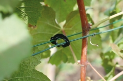 Drahtex 2 (2,2 - 3,1)