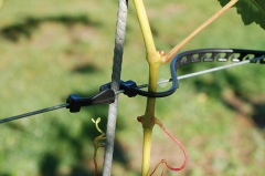 Stockklammer mit Aufnahme