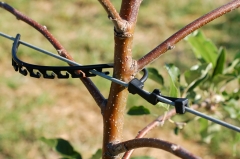 Stockklammer ohne Aufnahme